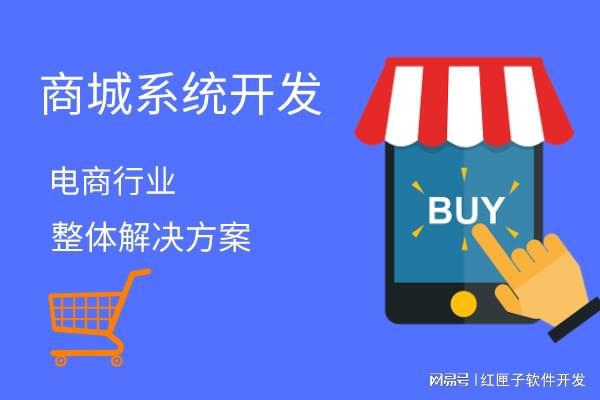 b2c電商平臺(tái)開發(fā)
