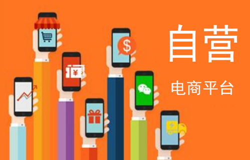 自營電商下一步該怎么走