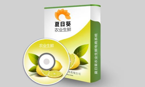 夏日葵電商2020年銷售顧問 客戶代表 經理待遇怎么樣 看準網
