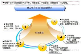 互聯(lián)網(wǎng)電商b2c b2b平臺(tái)運(yùn)營(yíng)能力模型及策略體系