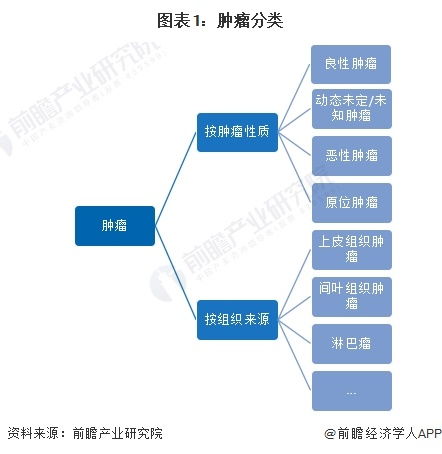 預(yù)見(jiàn)2024 2024年中國(guó)抗腫瘤藥物行業(yè)全景圖譜 附市場(chǎng)規(guī)模 競(jìng)爭(zhēng)格局和發(fā)展前景等