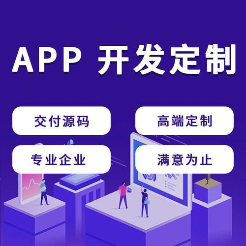 做軟件 做開發(fā) 首先選擇的公司要有一定的實(shí)力 有能力完成需求