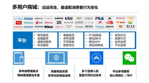 企業多用戶商城 b2b2c 平臺建設與運營解決方案 附ppt全文